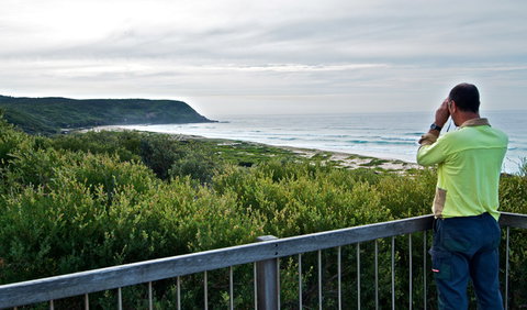 Tea Tree Picnic Area And Lookout - Nambucca Heads Accommodation 2