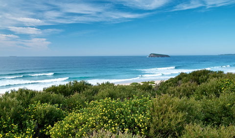 Tea Tree Picnic Area And Lookout - Nambucca Heads Accommodation 3