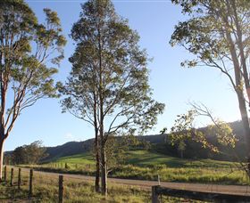 Tourist Drive 2 - Bucketts Way - Nambucca Heads Accommodation 1