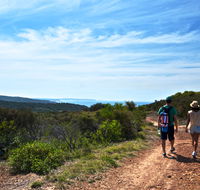 Moonee Beach trail - Nambucca Heads Accommodation