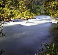 Nymboi-Binderay National Park - Nambucca Heads Accommodation