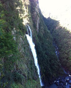 Ellenborough Falls - Nambucca Heads Accommodation 0