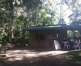 Ellenborough Falls - Nambucca Heads Accommodation 1