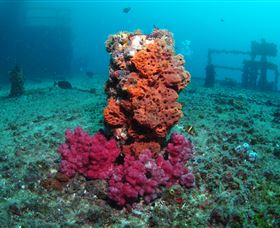 HMAS Brisbane Dive Site - Nambucca Heads Accommodation 0