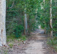 Delta track - Nambucca Heads Accommodation