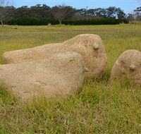 Unreal Rocks Statue Gallery - Nambucca Heads Accommodation
