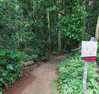 Walk with the Birds boardwalk - Nambucca Heads Accommodation