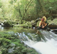 Dave's Creek circuit - Nambucca Heads Accommodation
