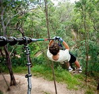 TreeTop Challenge - Nambucca Heads Accommodation