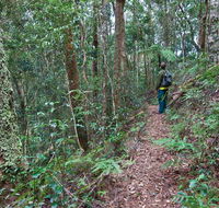 Blackbutt walking track - Nambucca Heads Accommodation