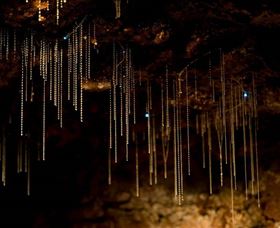 Tamborine Mountain Glow Worm Caves - Nambucca Heads Accommodation 0