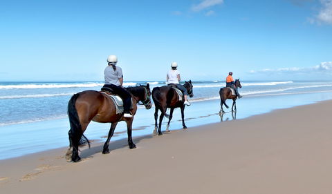 Worimi National Park - Nambucca Heads Accommodation 1