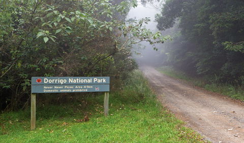 Never Never Picnic Area - Nambucca Heads Accommodation 3