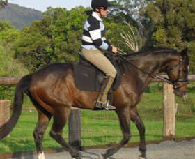 Kings Creek Saddle Club - Nambucca Heads Accommodation 6