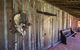 Ormiston House - thumb 2