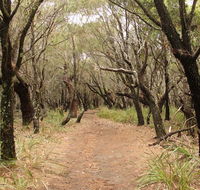 Pretty Beach to Snapper Point walking track - Nambucca Heads Accommodation