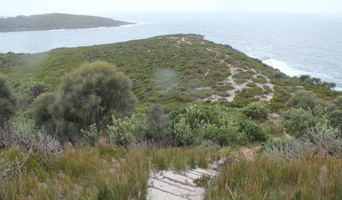 Pretty Beach To Snapper Point Walking Track - Nambucca Heads Accommodation 2