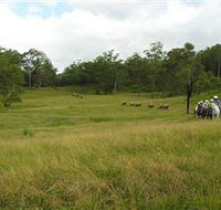 Numinbah Valley Adventure Trails - Nambucca Heads Accommodation
