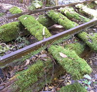 Wootton Historical Railway Walk - Nambucca Heads Accommodation