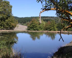 Oak Grove Walk, Balingup - Nambucca Heads Accommodation 0