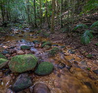 Starrs Creek picnic area - Nambucca Heads Accommodation