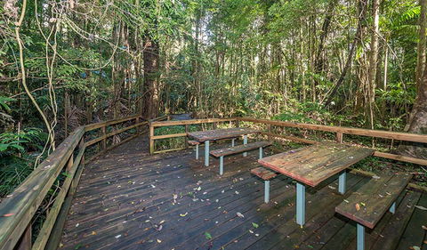 Starrs Creek Picnic Area - Nambucca Heads Accommodation 1