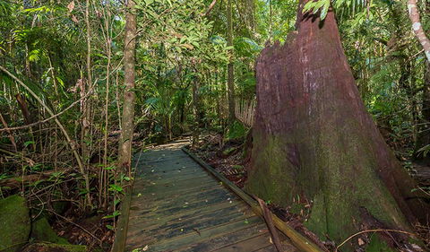 Starrs Creek Picnic Area - Nambucca Heads Accommodation 2