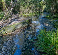 Dawson River walking track - Nambucca Heads Accommodation