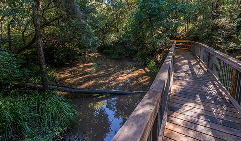 Ms Kellys Walking Track - Nambucca Heads Accommodation 0