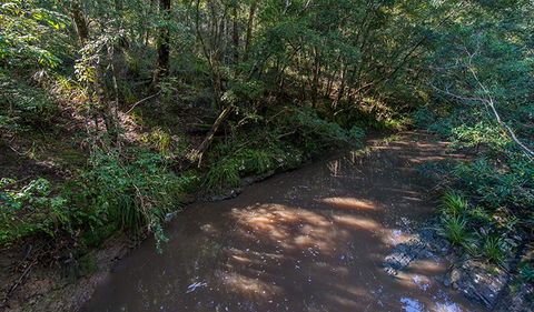 Ms Kellys Walking Track - Nambucca Heads Accommodation 2