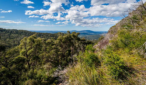 Big Nellie Lookout And Picnic Area - Nambucca Heads Accommodation 2