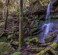 Coorabakh National Park - Nambucca Heads Accommodation