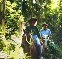 Clarendon Forest Retreat Horse Riding - Nambucca Heads Accommodation
