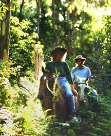 Clarendon Forest Retreat Horse Riding - Nambucca Heads Accommodation 0
