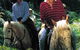 Clarendon Forest Retreat Horse Riding - thumb 2