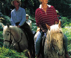 Clarendon Forest Retreat Horse Riding - Nambucca Heads Accommodation 2