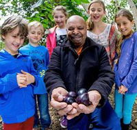 Wigay Aboriginal Culture Park - Nambucca Heads Accommodation