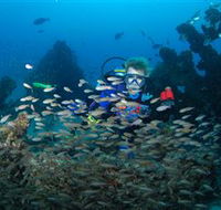 Aarhus Dive Site - Nambucca Heads Accommodation