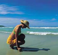 Diamond Beach - Nambucca Heads Accommodation