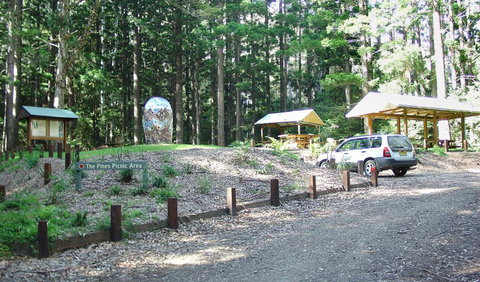 The Pines Picnic Area - Nambucca Heads Accommodation 2