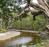 Saltwater National Park - Nambucca Heads Accommodation