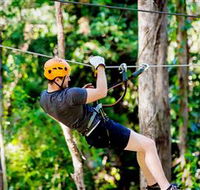 TreeTop Challenge Currumbin - Nambucca Heads Accommodation