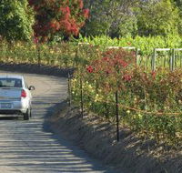 Cassegrain Wines - Nambucca Heads Accommodation