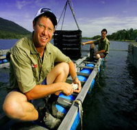 Armstrong Oysters - Nambucca Heads Accommodation