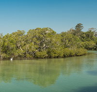 Tyagarah Nature Reserve - Nambucca Heads Accommodation