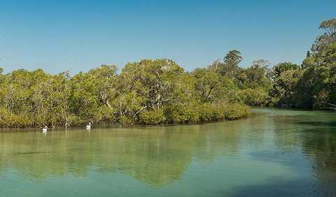 Tyagarah Nature Reserve - Nambucca Heads Accommodation 0