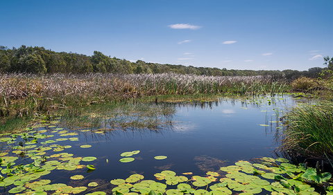 Tyagarah Nature Reserve - Nambucca Heads Accommodation 1