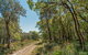 Tyagarah Nature Reserve - thumb 2