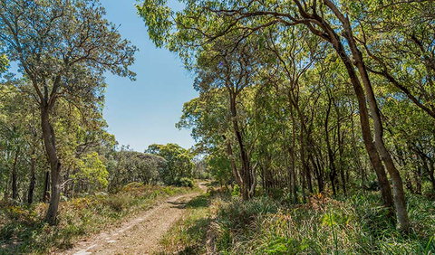 Tyagarah Nature Reserve - Nambucca Heads Accommodation 2