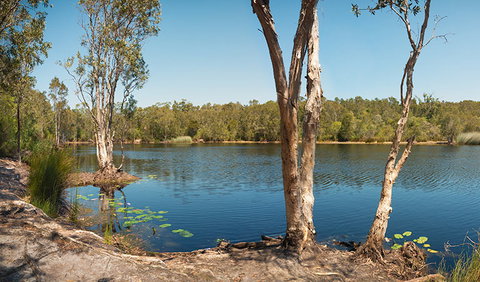Tyagarah Nature Reserve - Nambucca Heads Accommodation 3